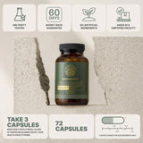 The Dream Body Stack™